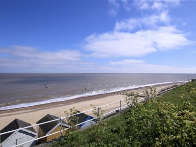 Picture 15